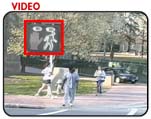 Pedestrian/Vehicle conflict